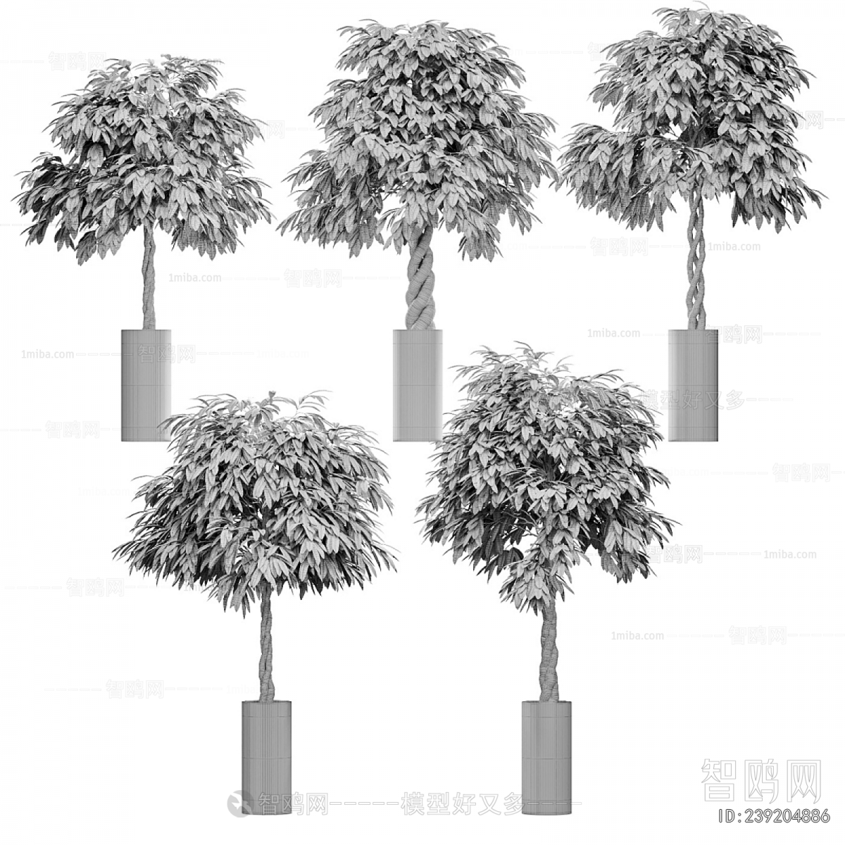 Modern Ground Green Plant Potted Plants