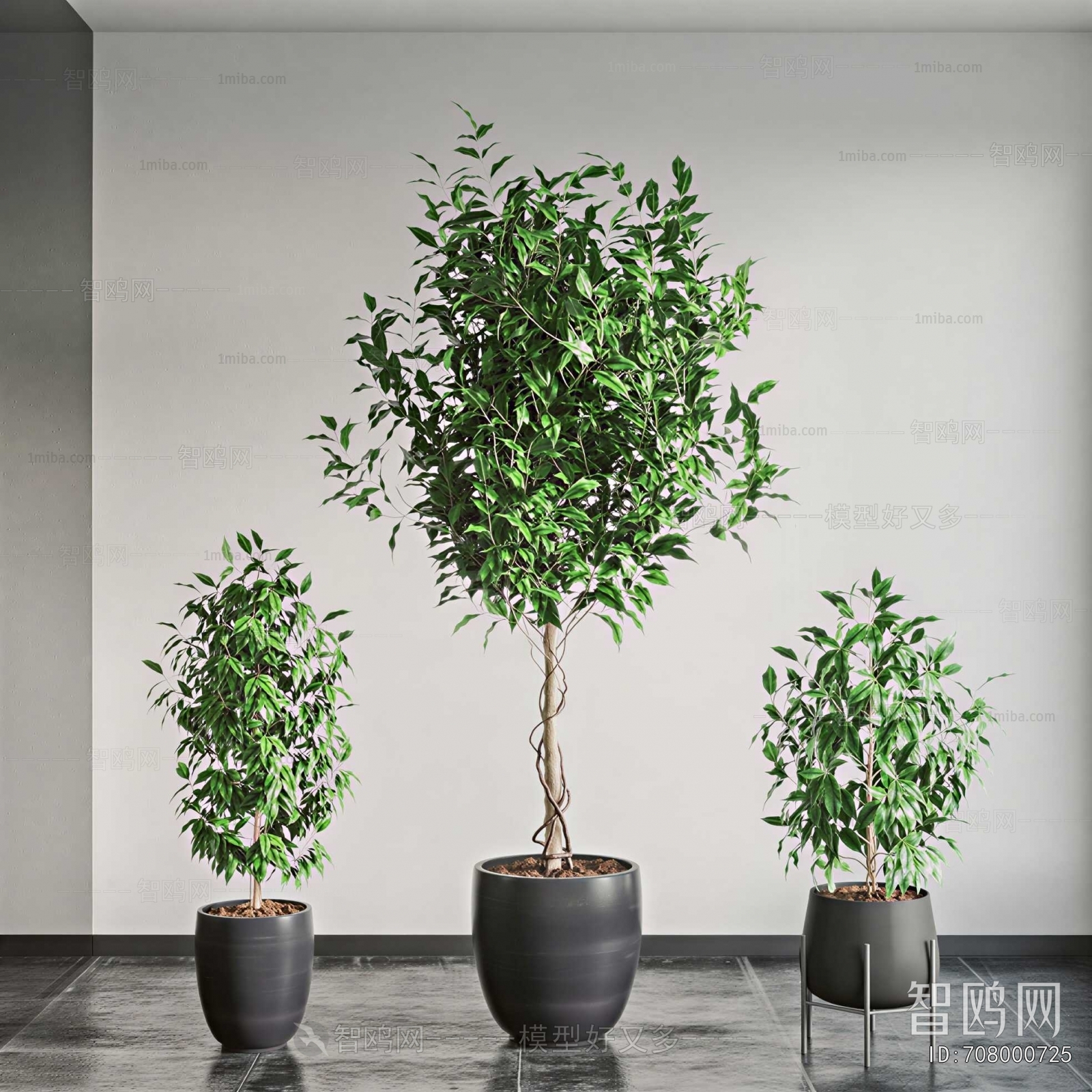 Modern Ground Green Plant Potted Plants