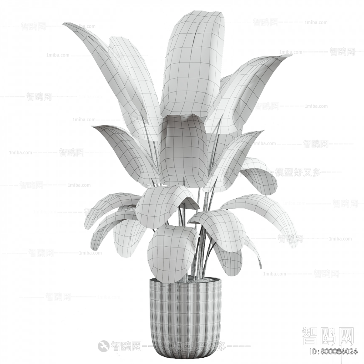 Modern Ground Green Plant Potted Plants