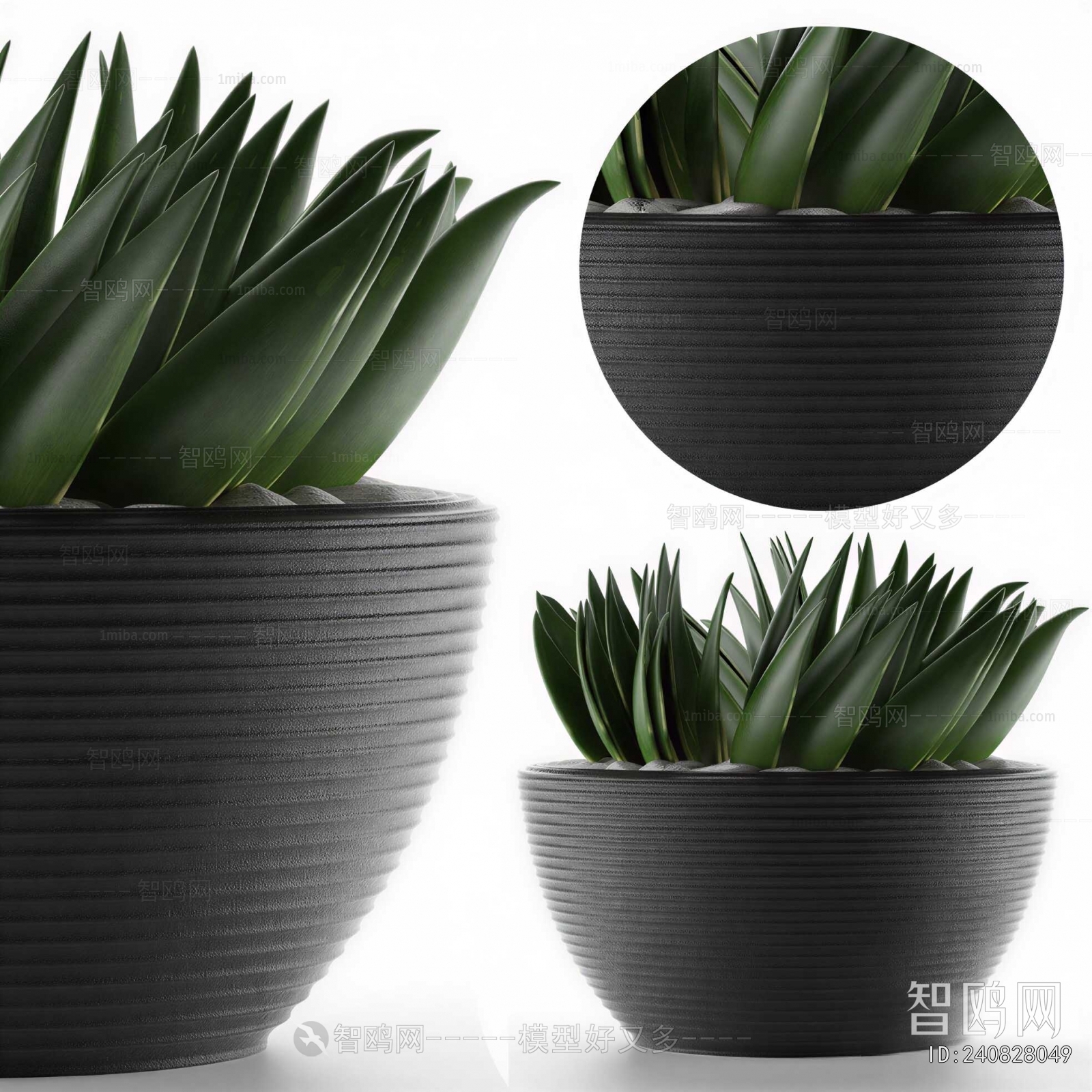Modern Potted Green Plant