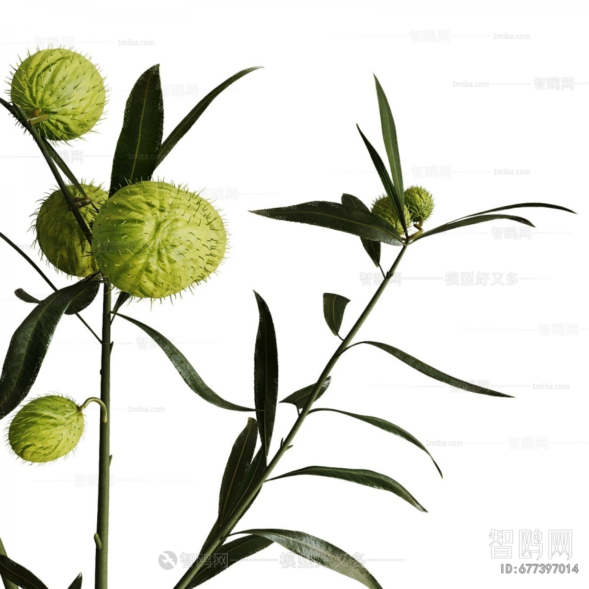 Modern Potted Green Plant