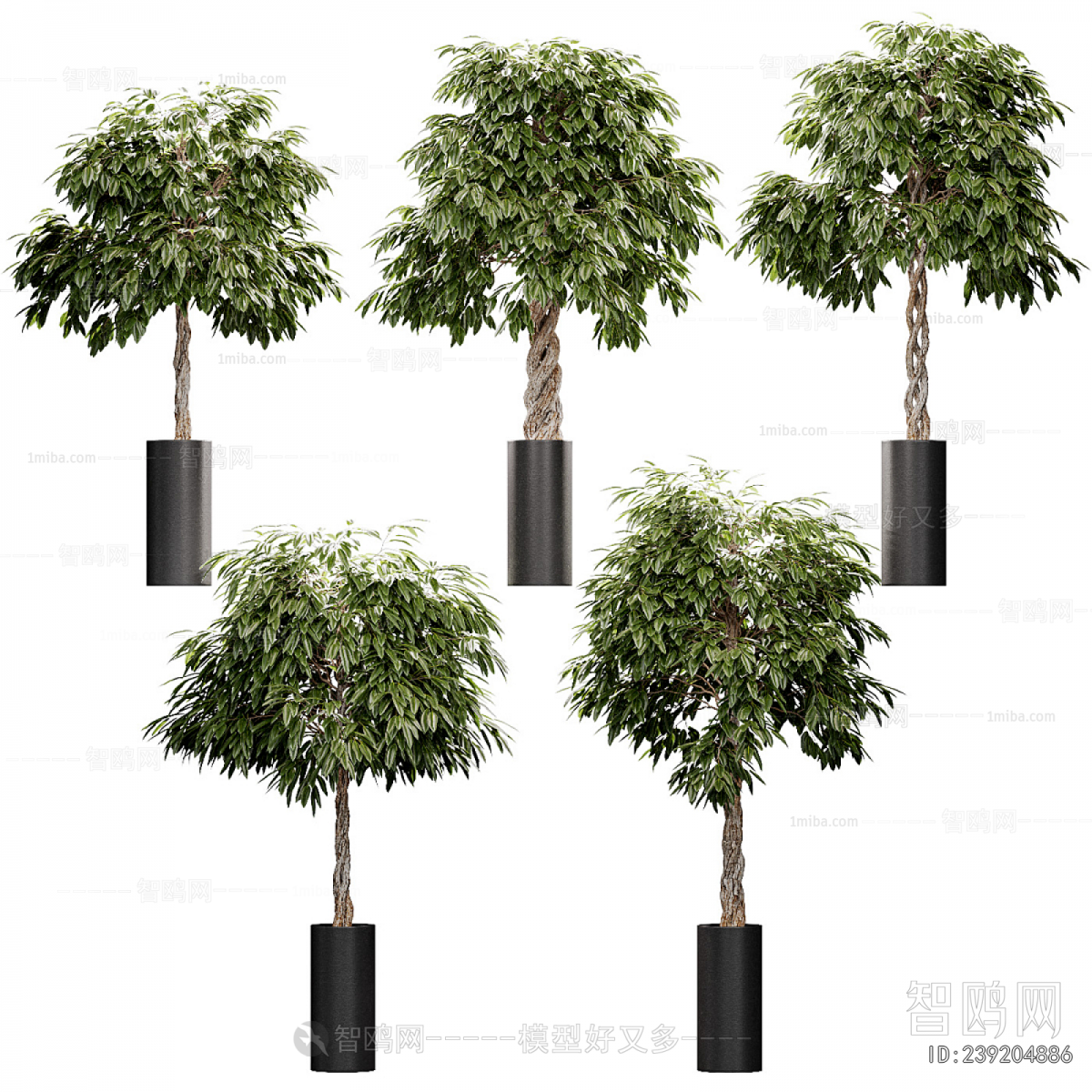 Modern Ground Green Plant Potted Plants