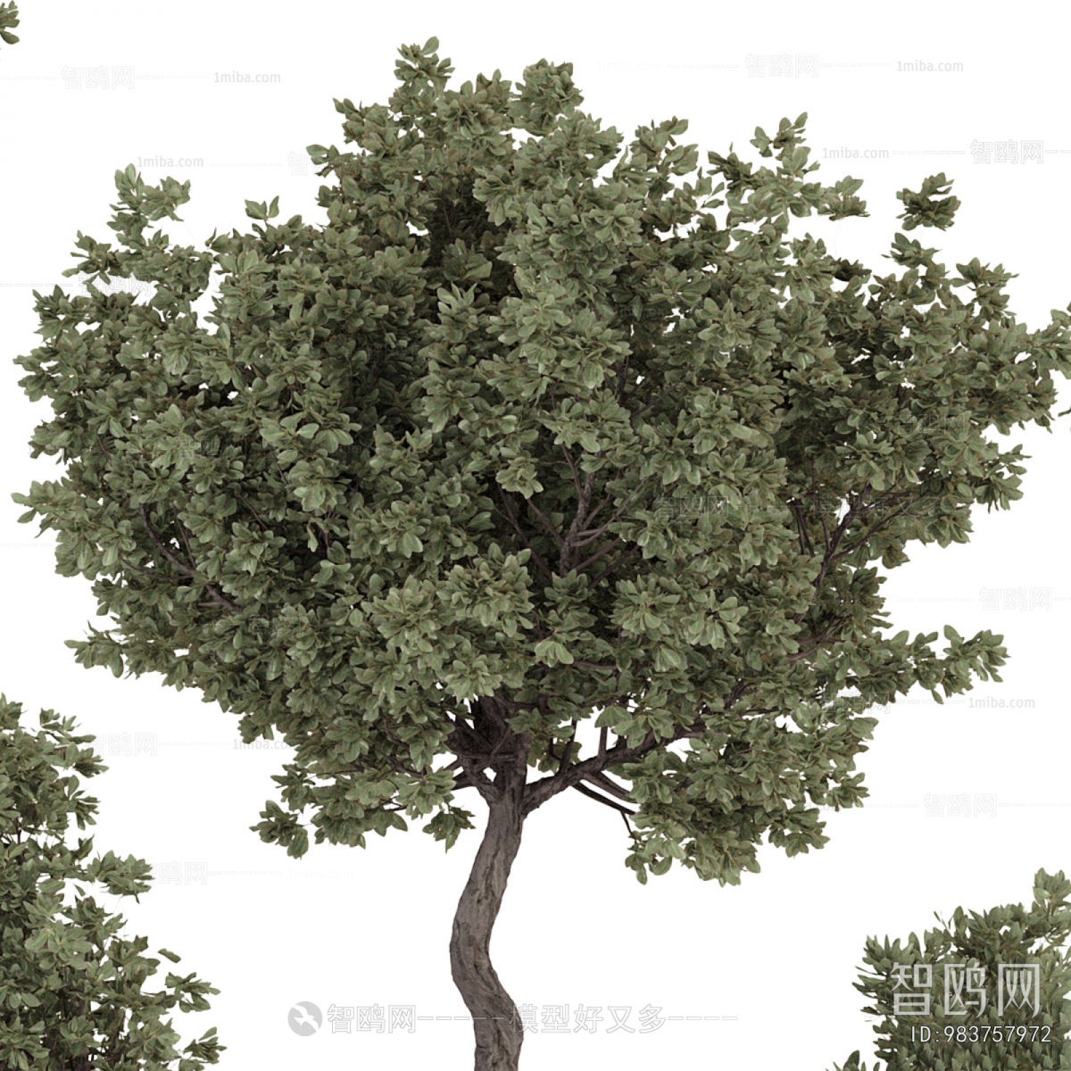 Modern Ground Green Plant Potted Plants