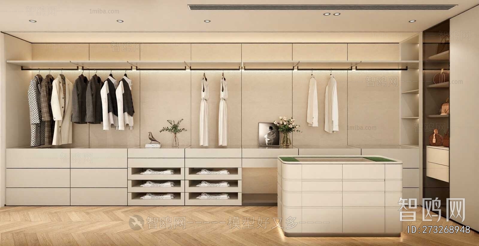 Modern Clothes Storage Area