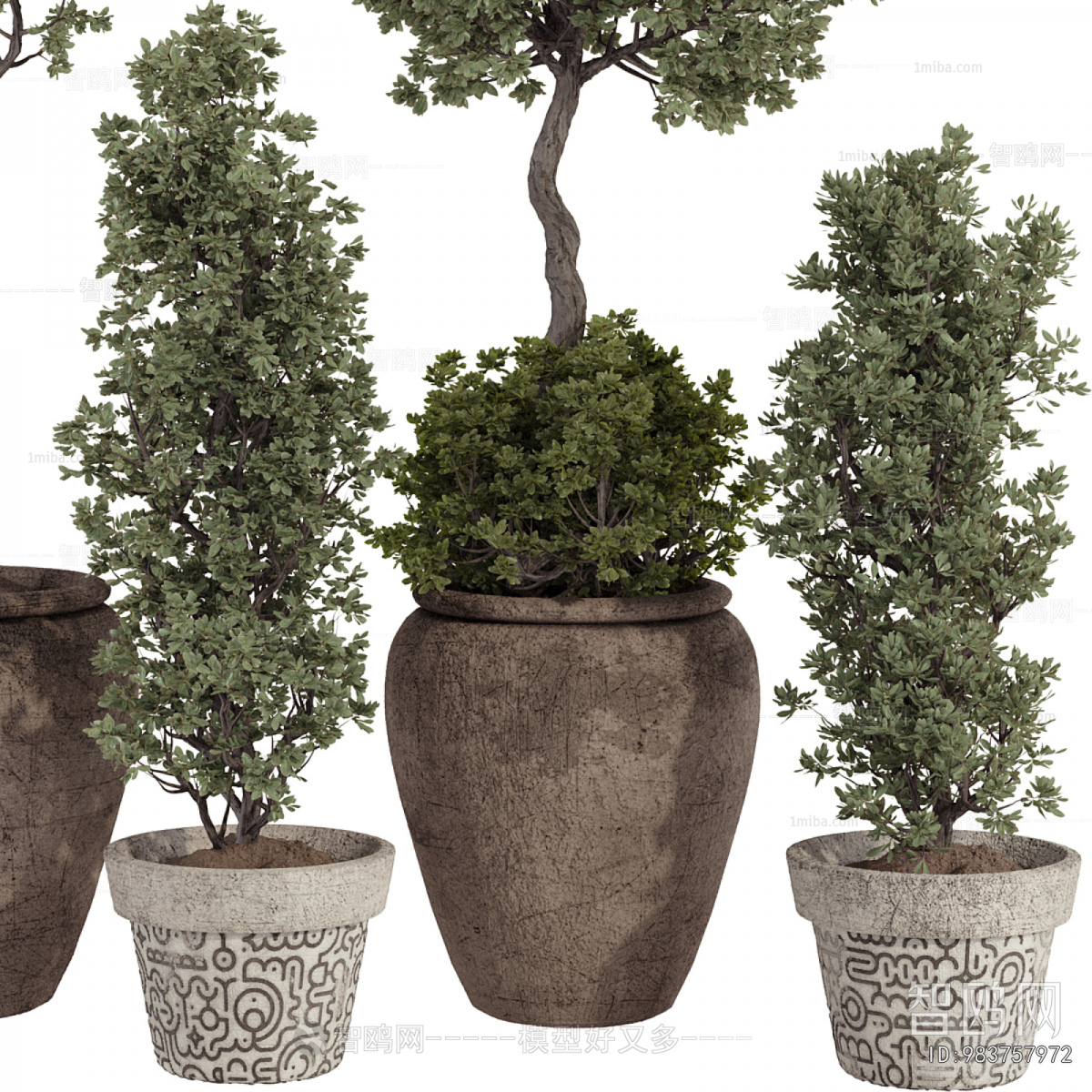 Modern Ground Green Plant Potted Plants