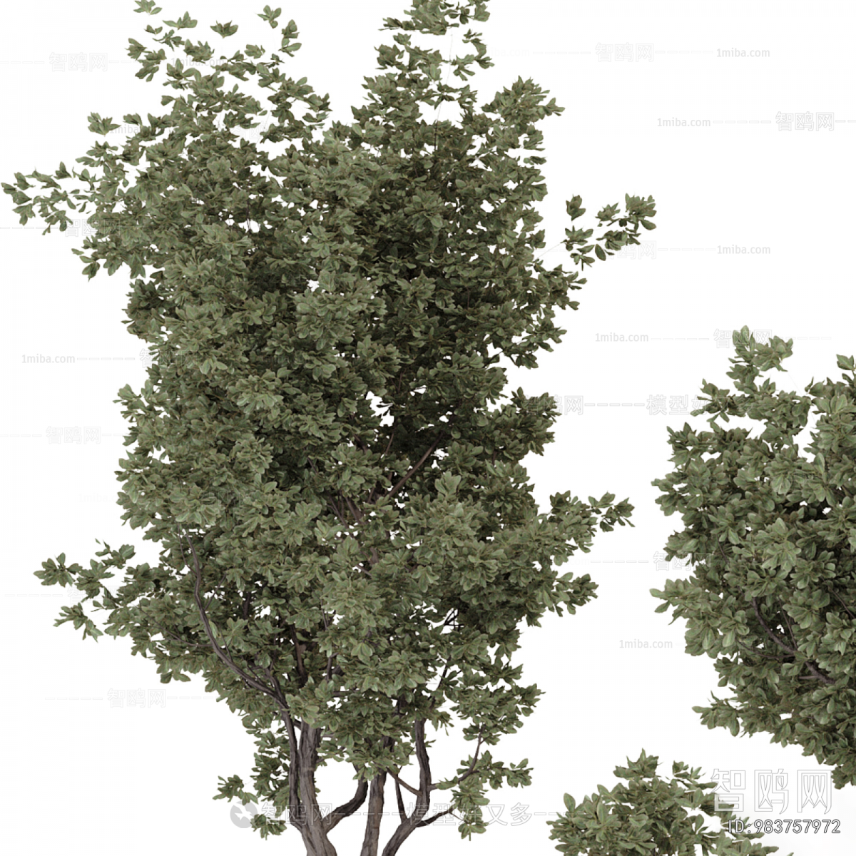 Modern Ground Green Plant Potted Plants