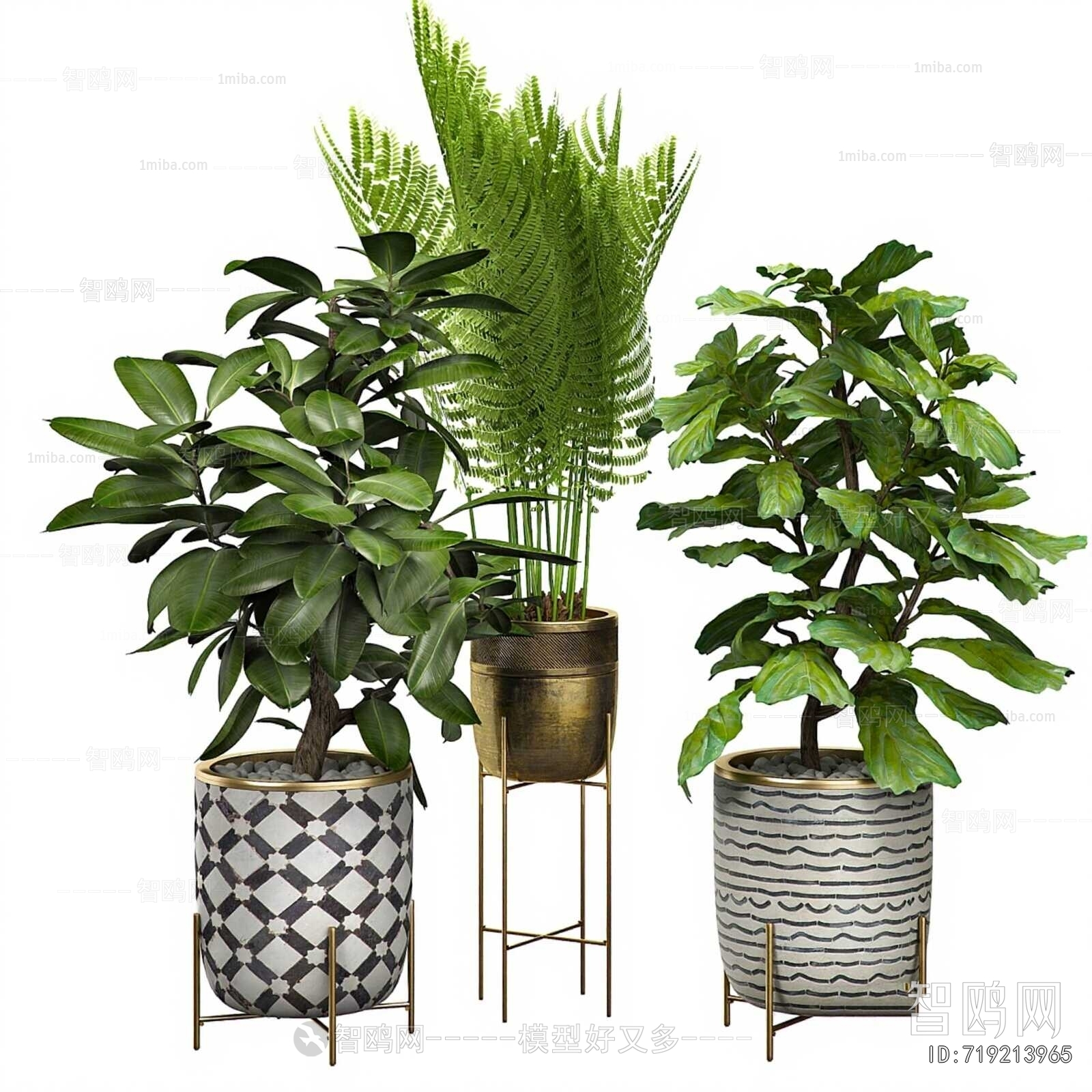 Modern Ground Green Plant Potted Plants