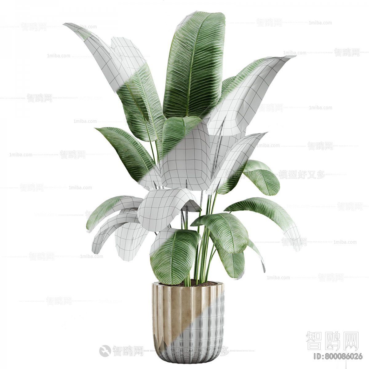 Modern Ground Green Plant Potted Plants