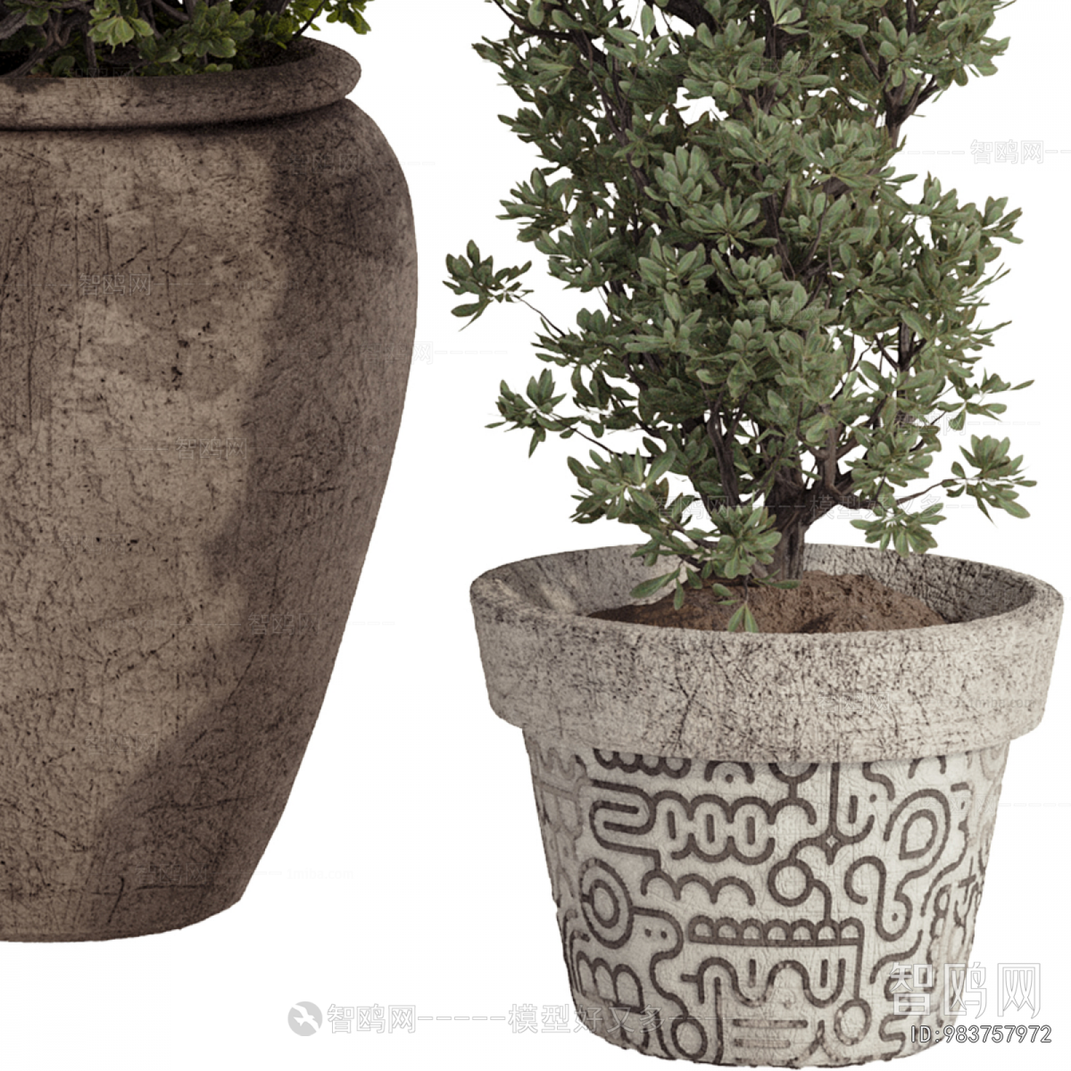 Modern Ground Green Plant Potted Plants