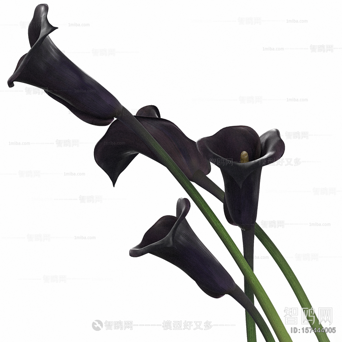 Modern Flower Arrangement