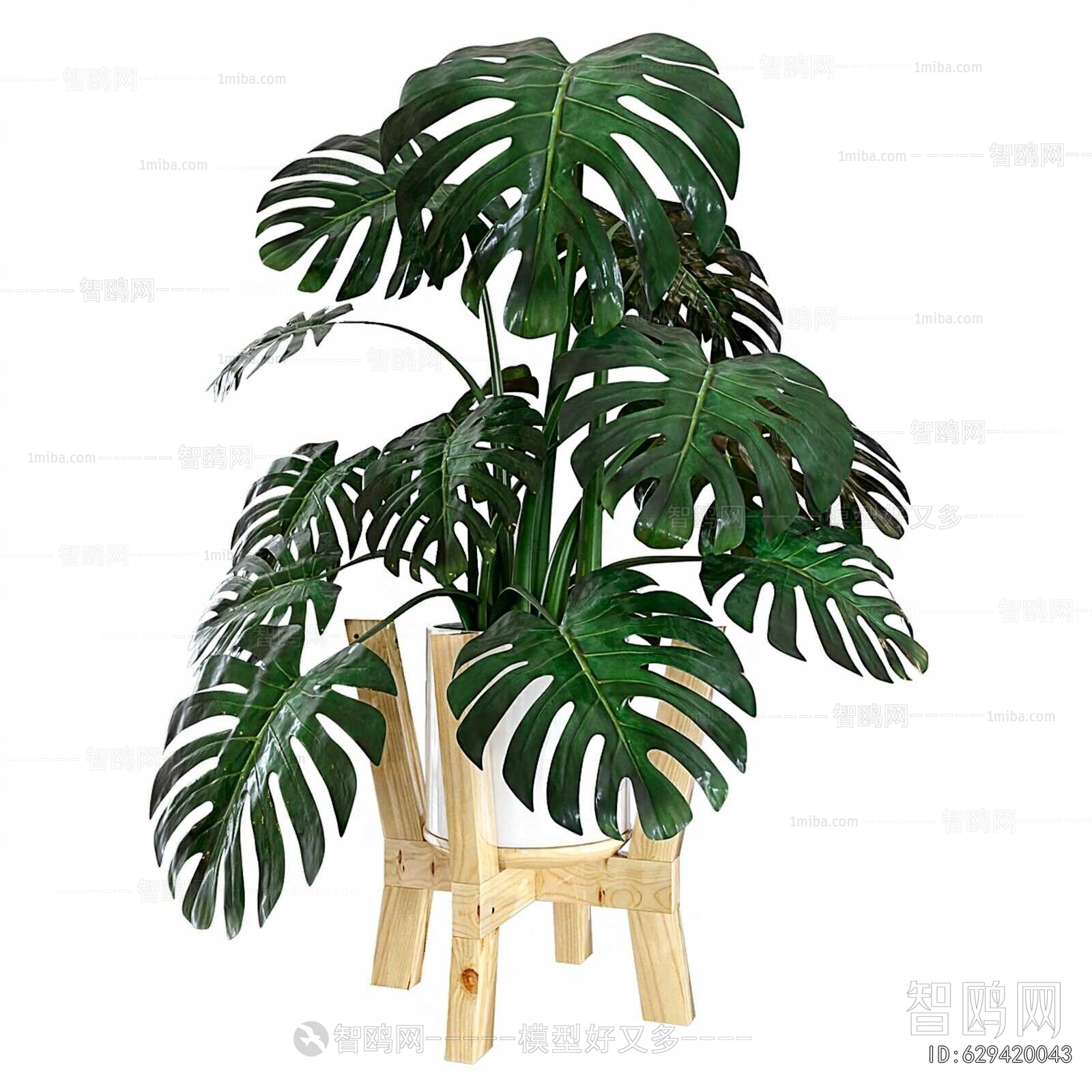 Modern Ground Green Plant Potted Plants