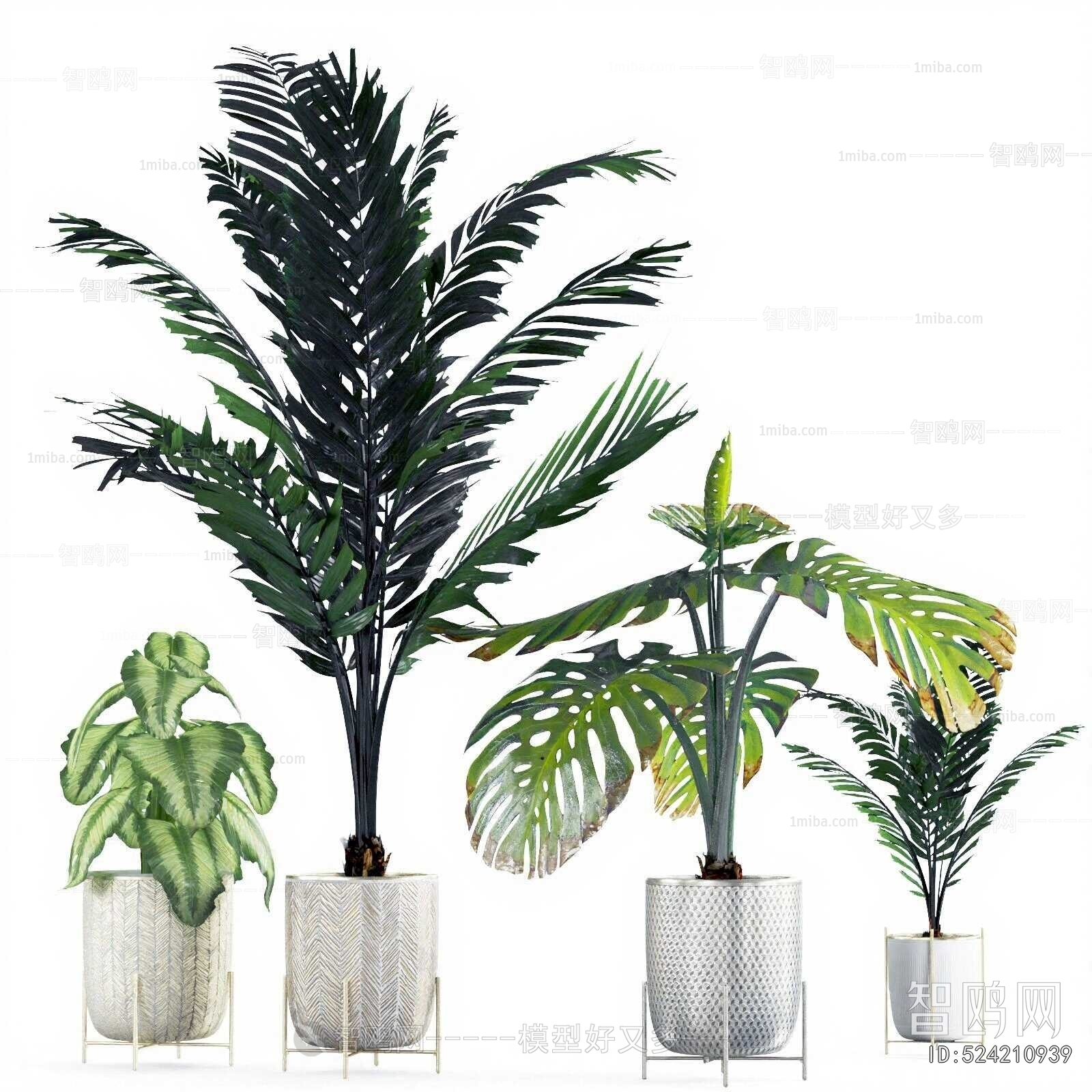 Modern Ground Green Plant Potted Plants