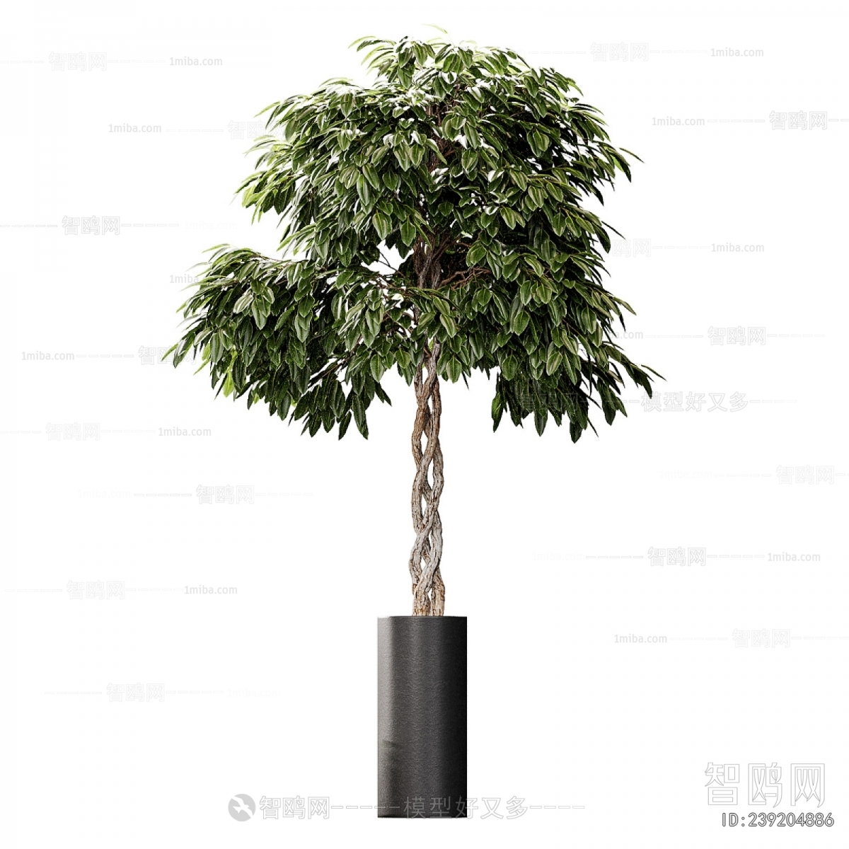 Modern Ground Green Plant Potted Plants