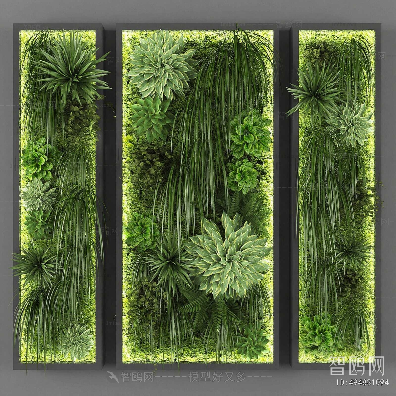 Modern Plant Wall