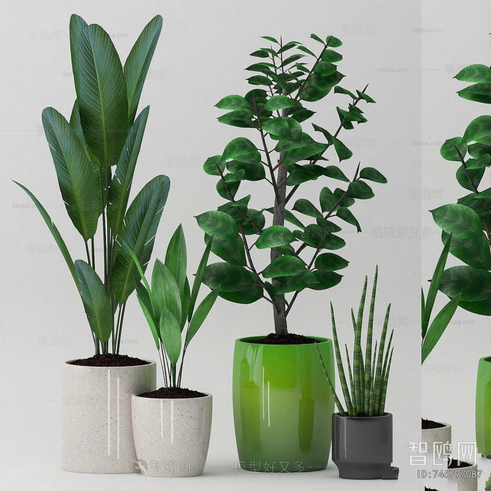 Modern Ground Green Plant Potted Plants
