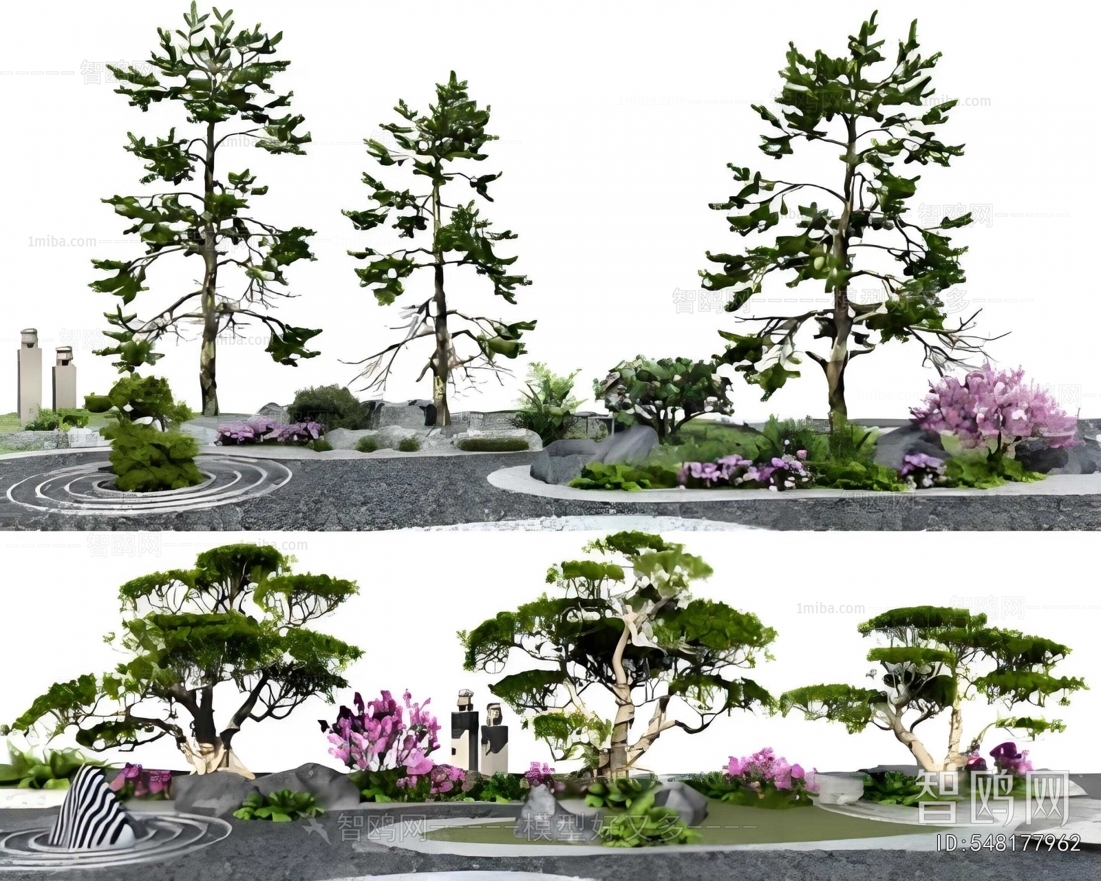 Modern Plant Landscaping