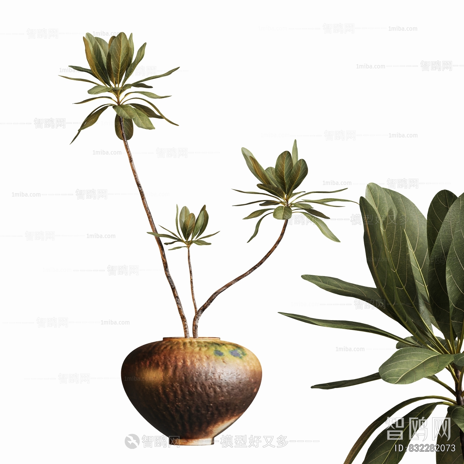 Modern Potted Green Plant