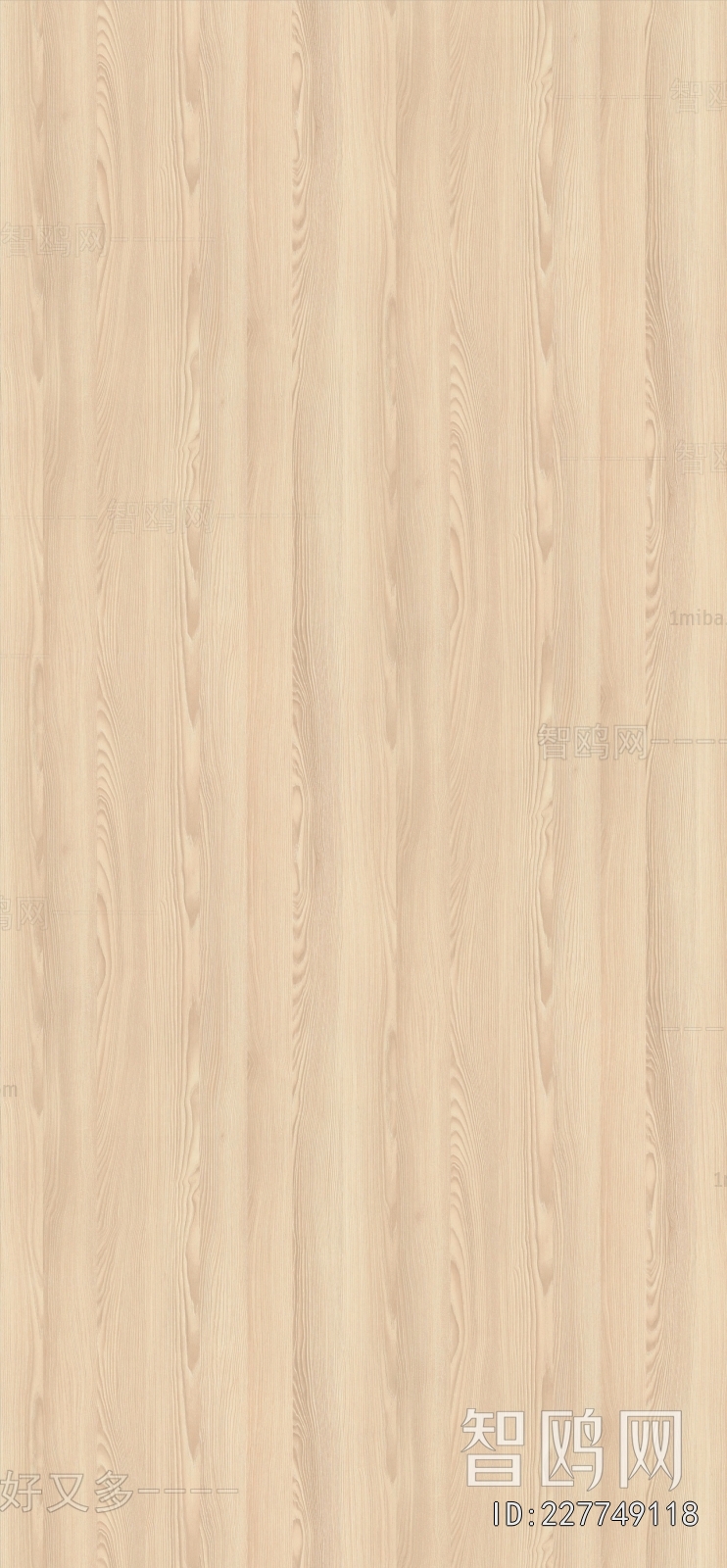 Wood Texture