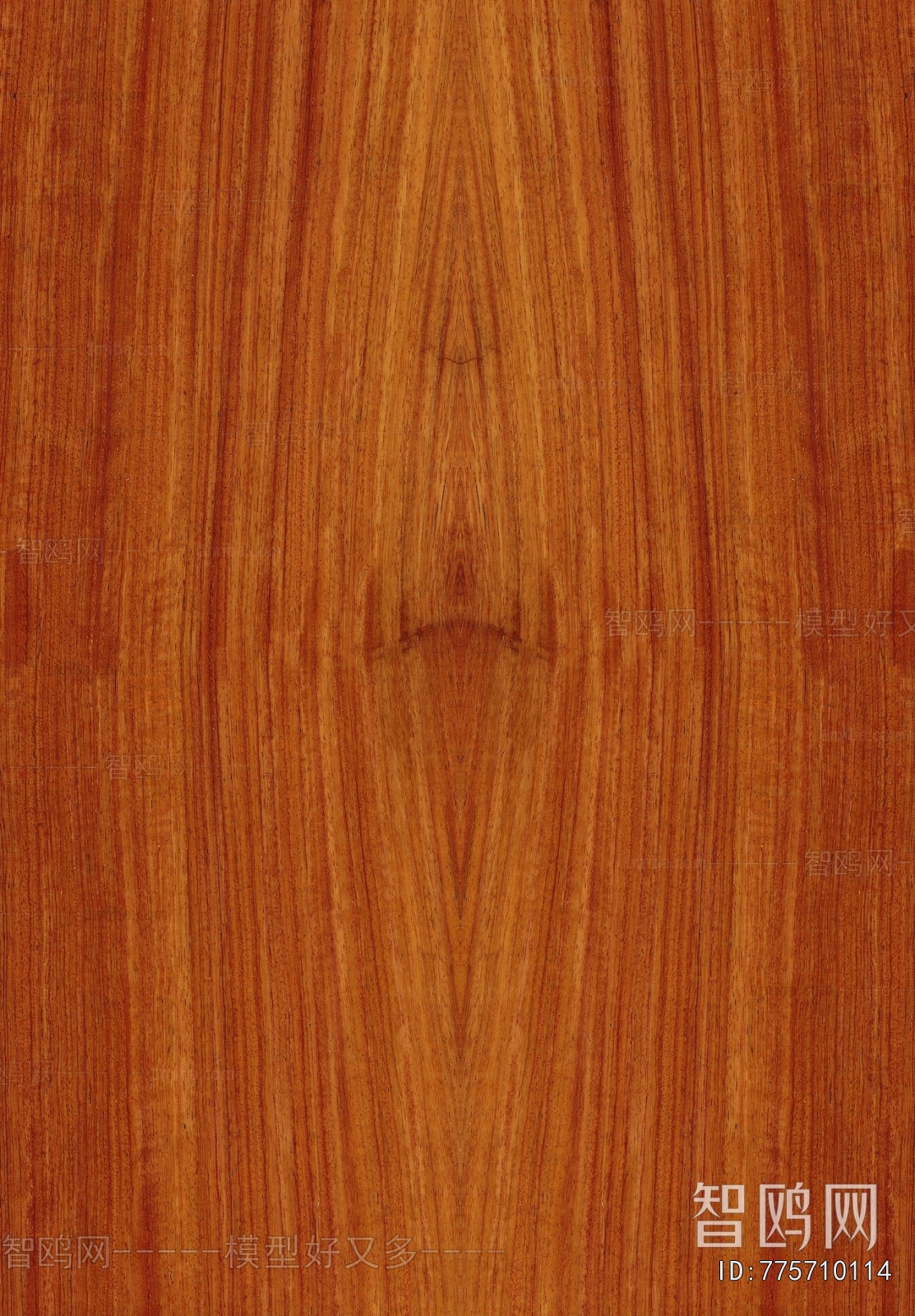 Wood Texture