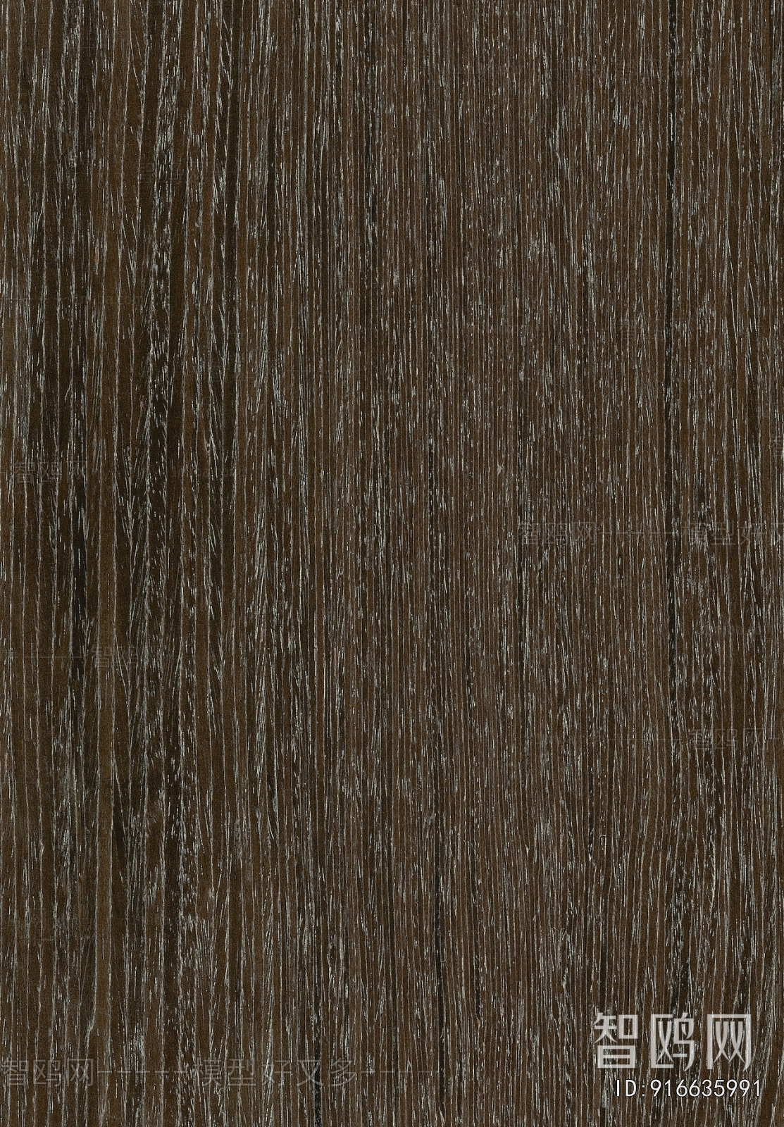 Wood Texture