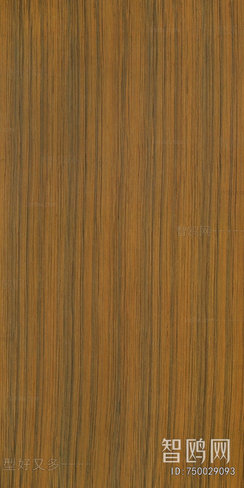 Wood Texture