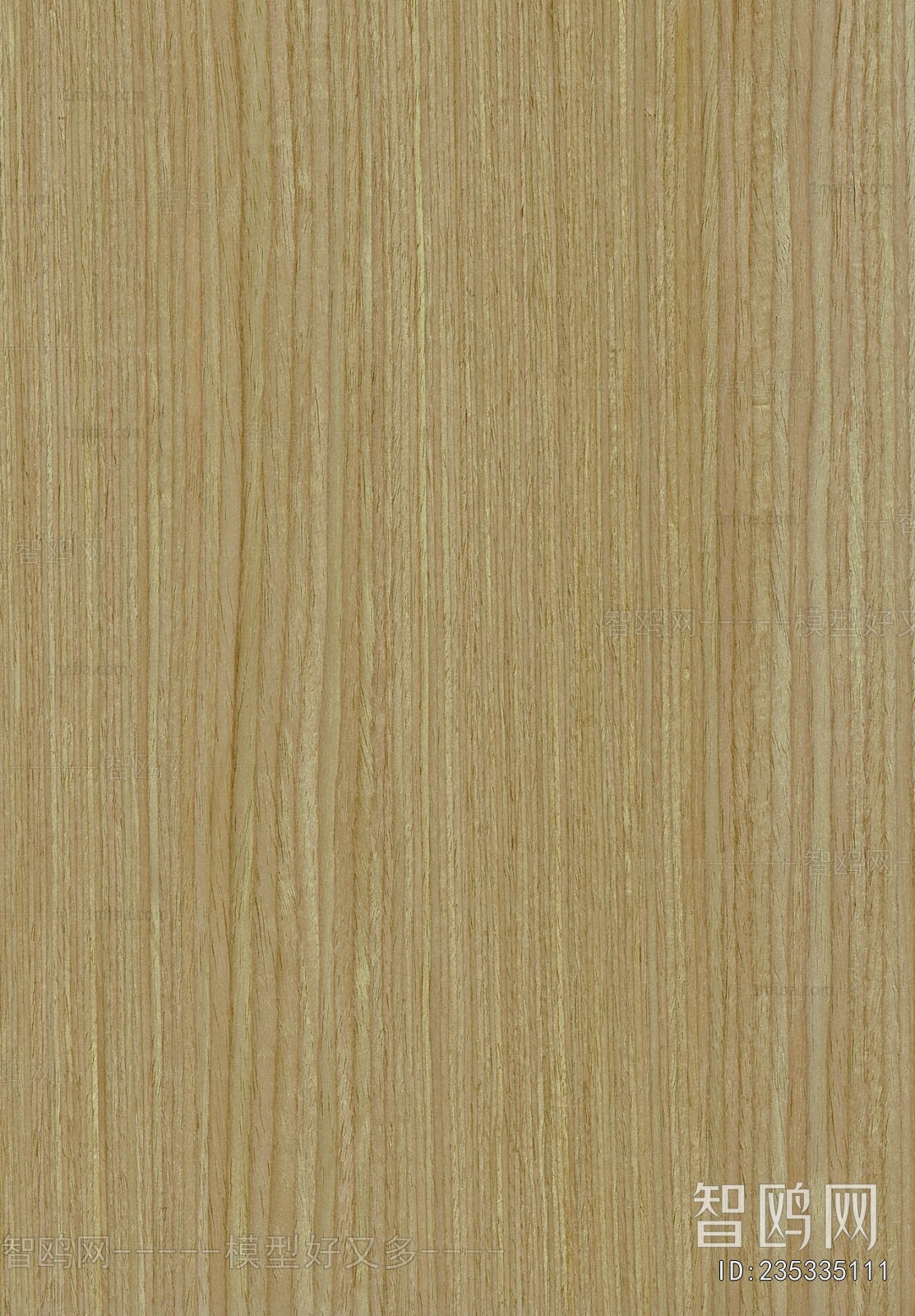 Wood Texture