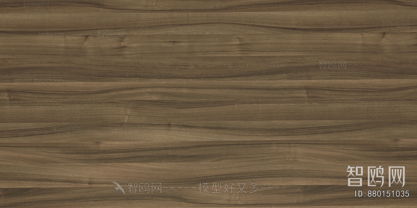 Wood Texture