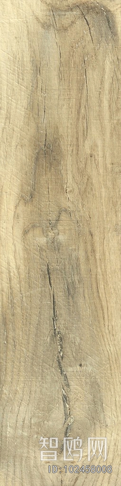 Wood Texture