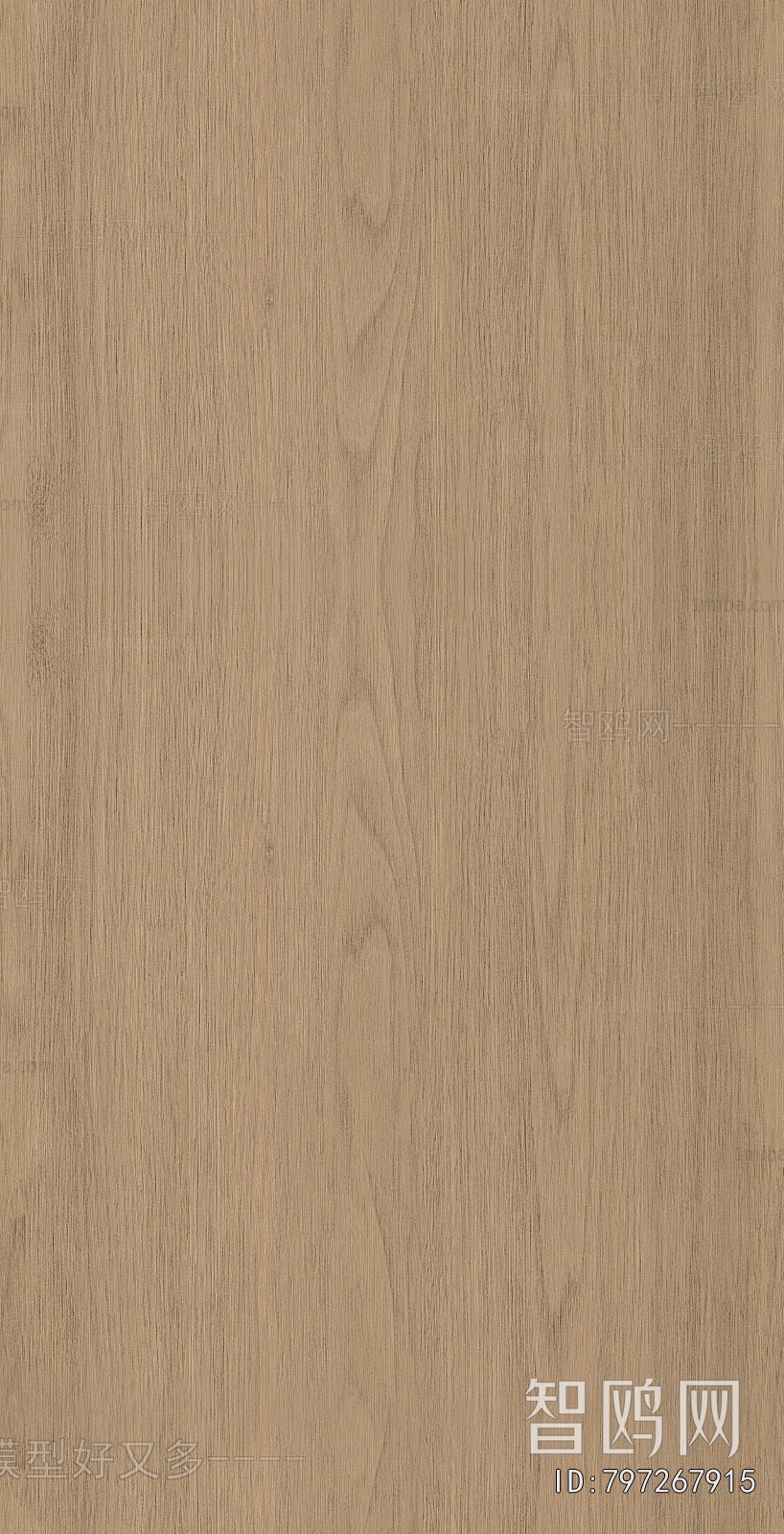 Wood Texture