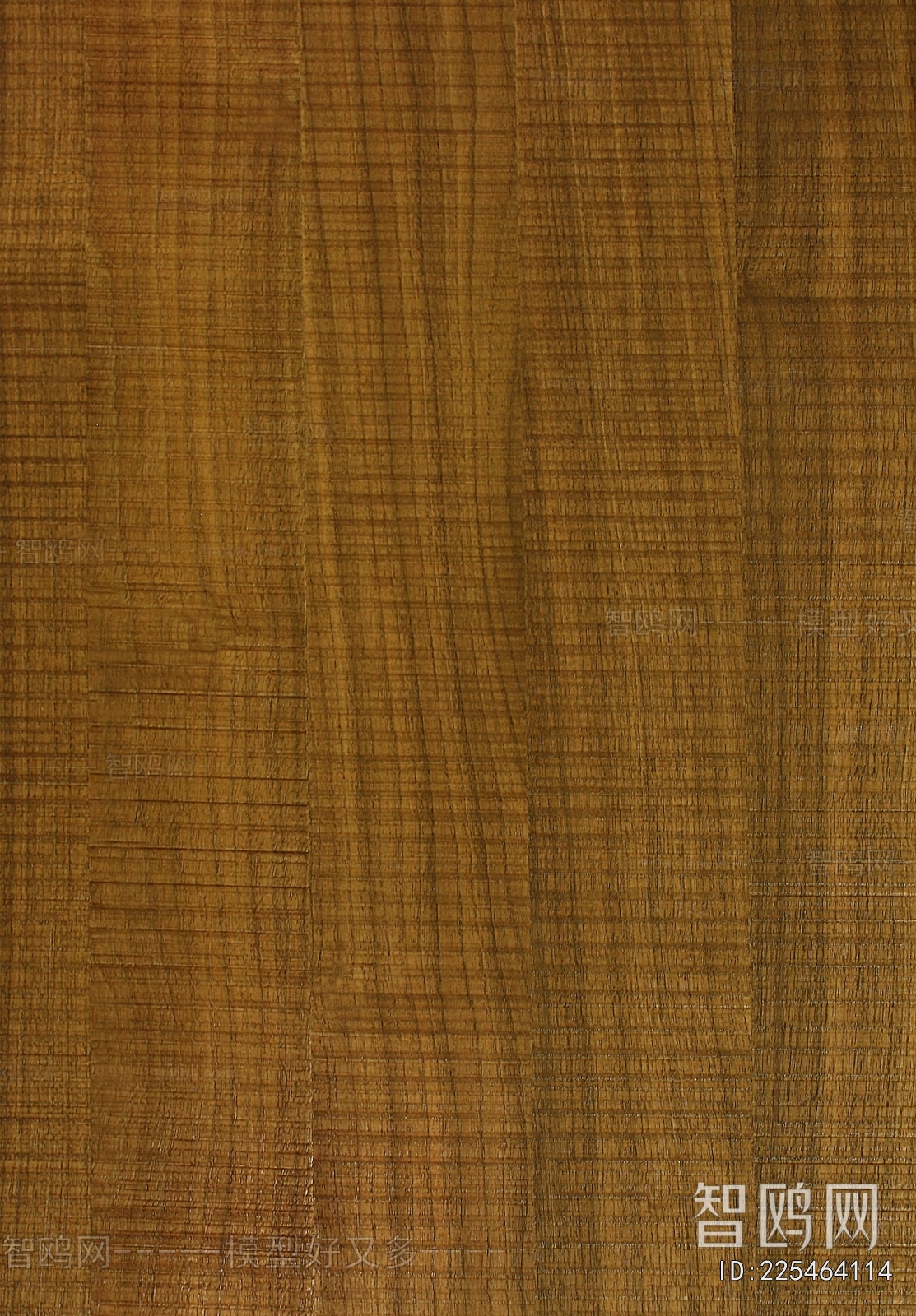 Wood Texture