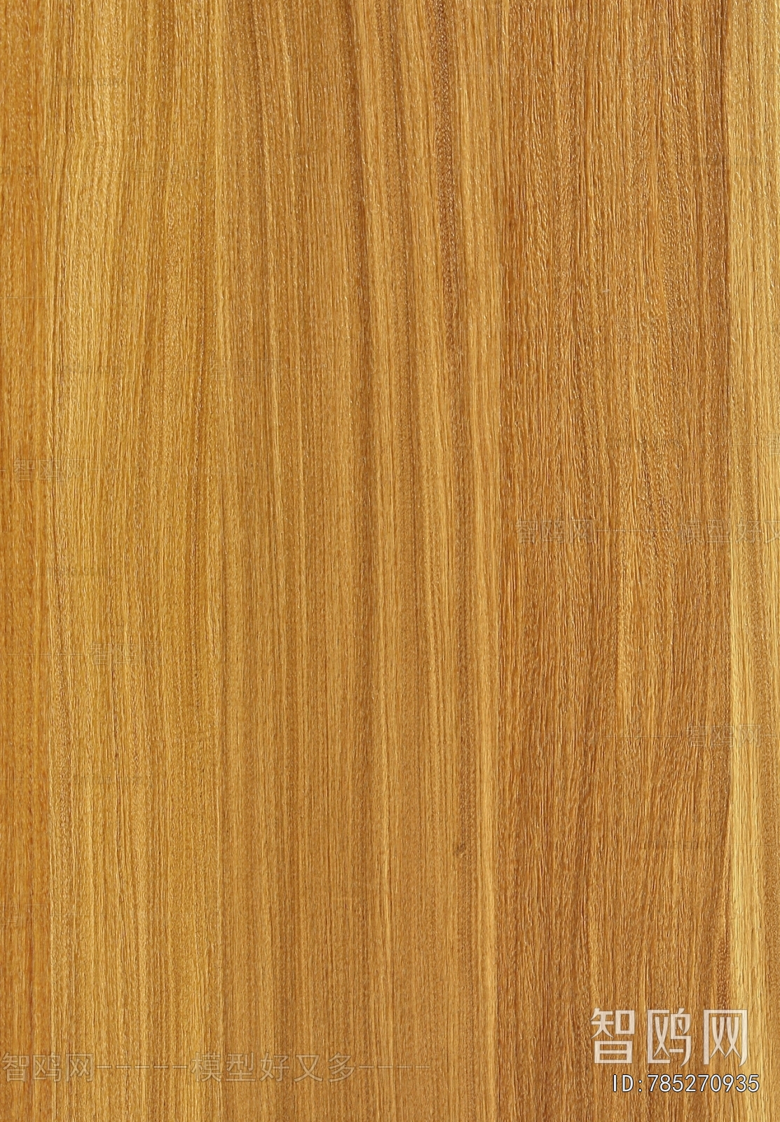 Wood Texture
