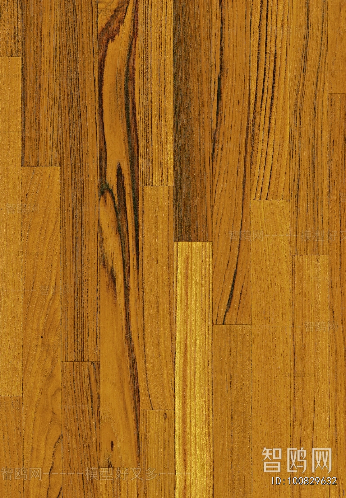 Wood Texture