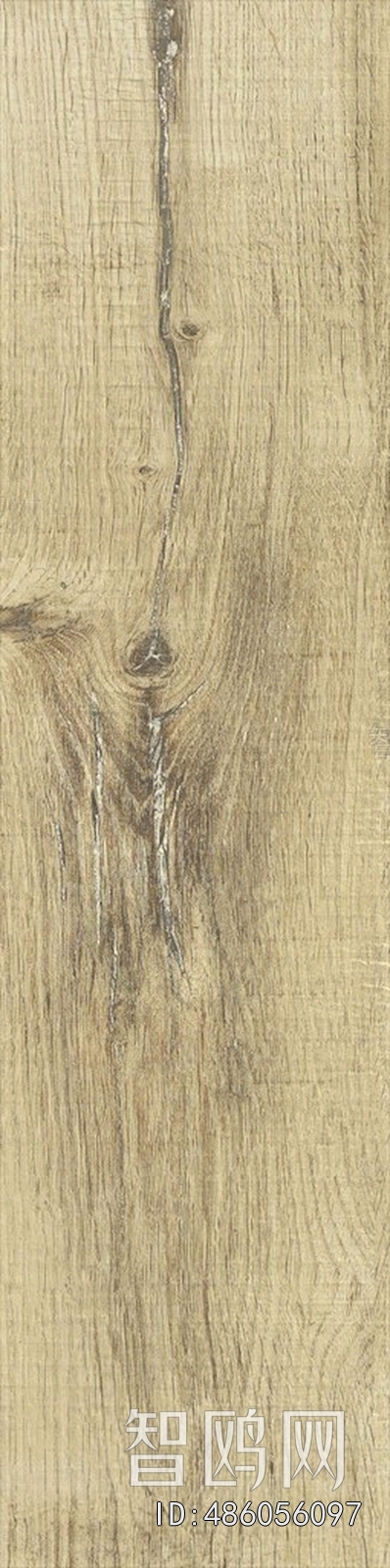 Wood Texture