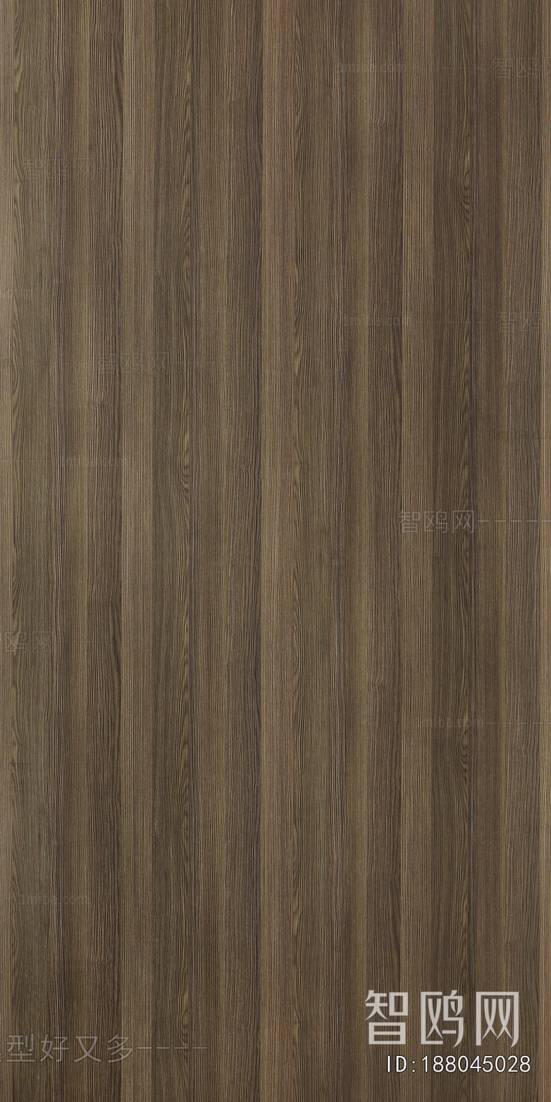 Wood Texture