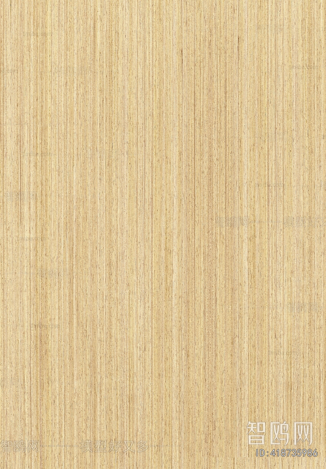Wood Texture