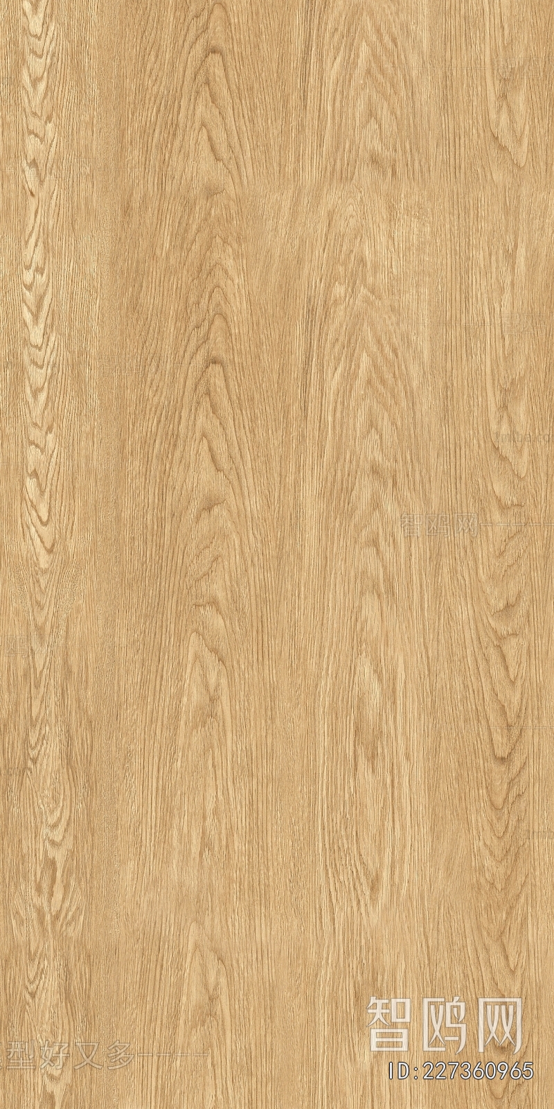 Wood Texture