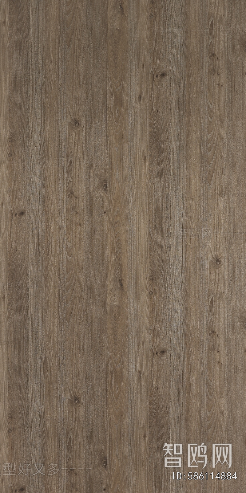 Wood Texture