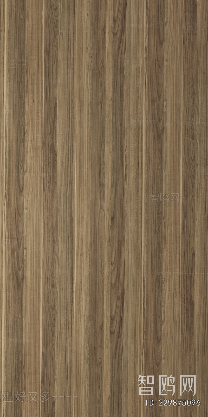 Wood Texture