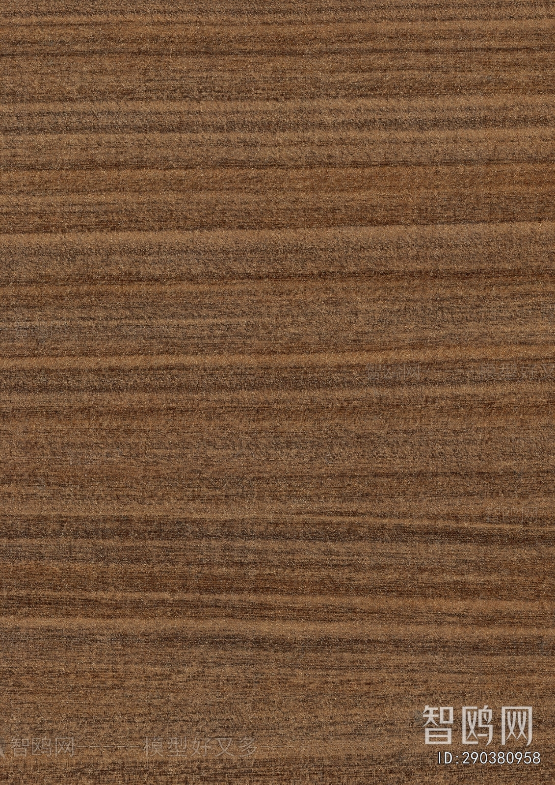 Wood Texture