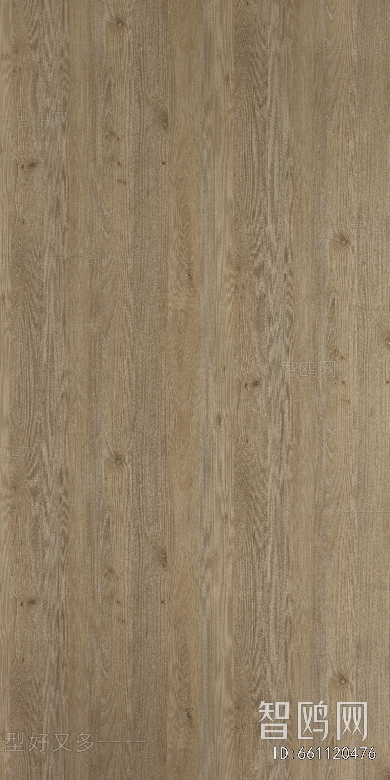 Wood Texture