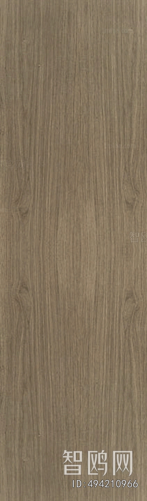 Wood Texture