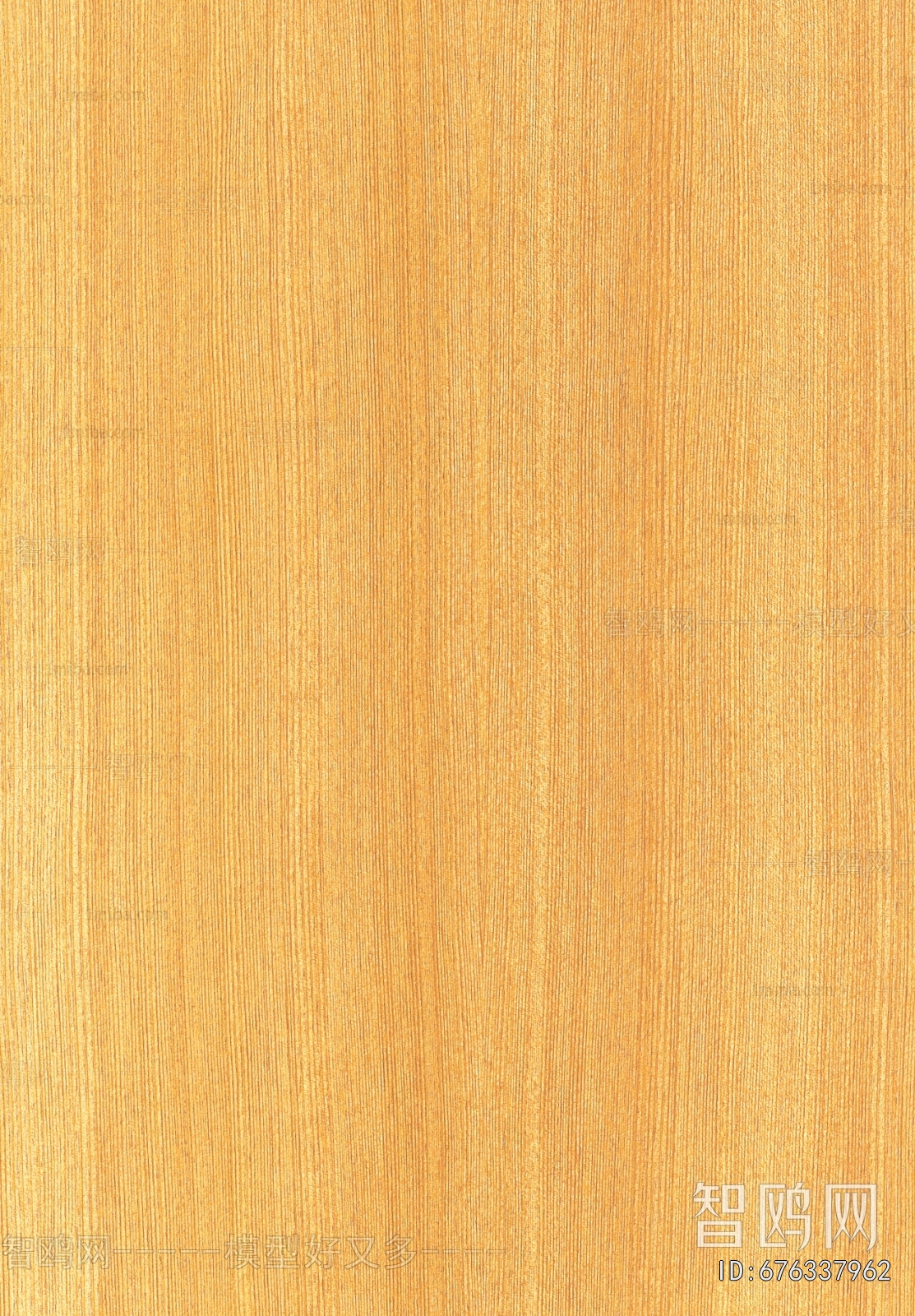 Wood Texture