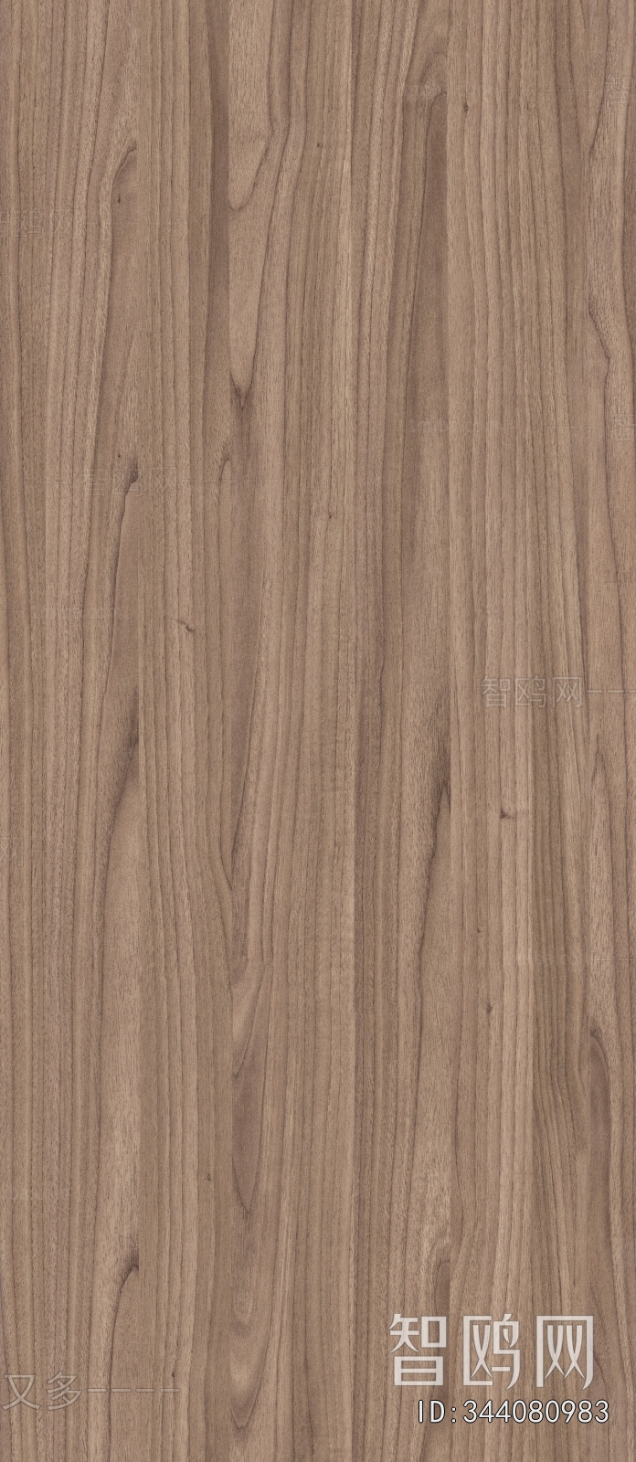 Wood Texture