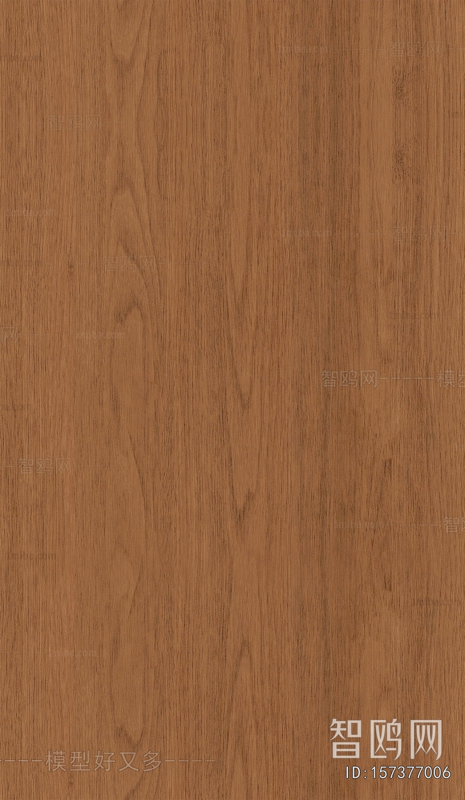 Wood Texture