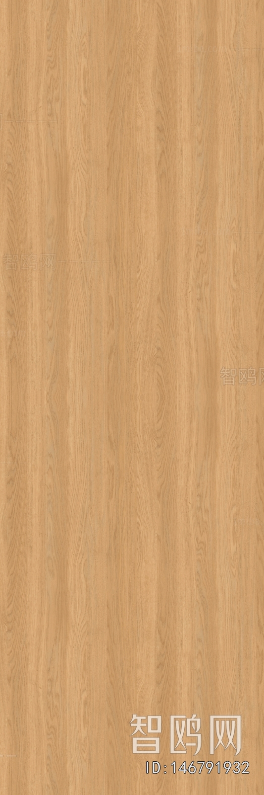 Wood Texture