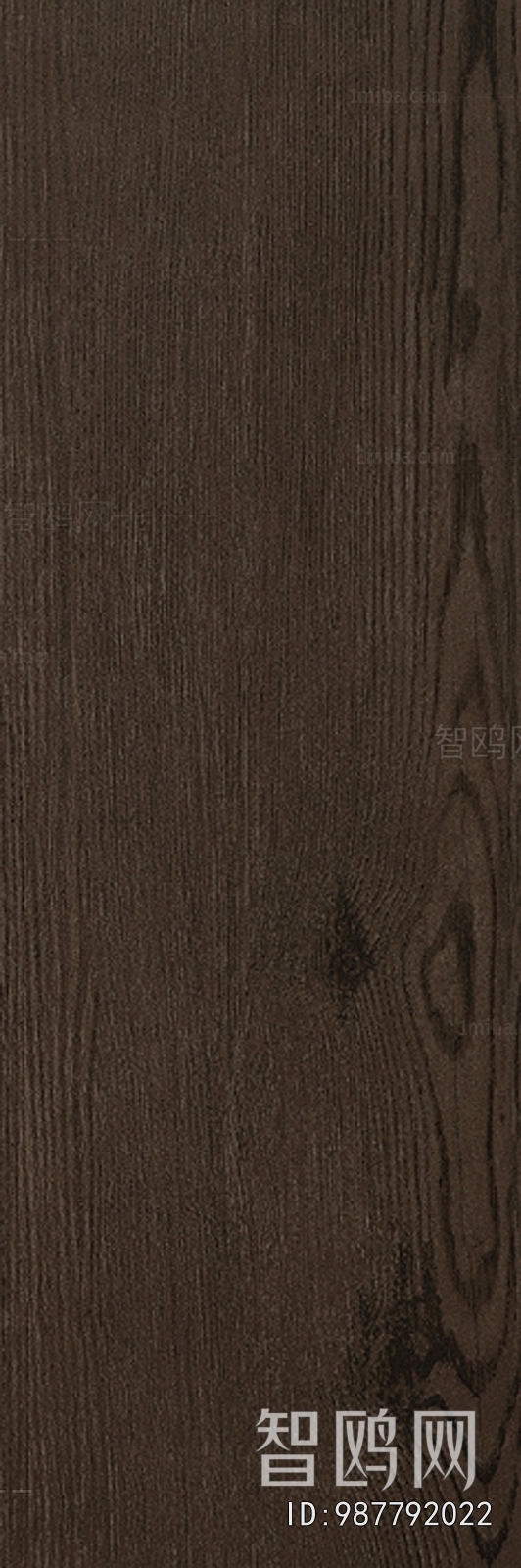 Wood Texture