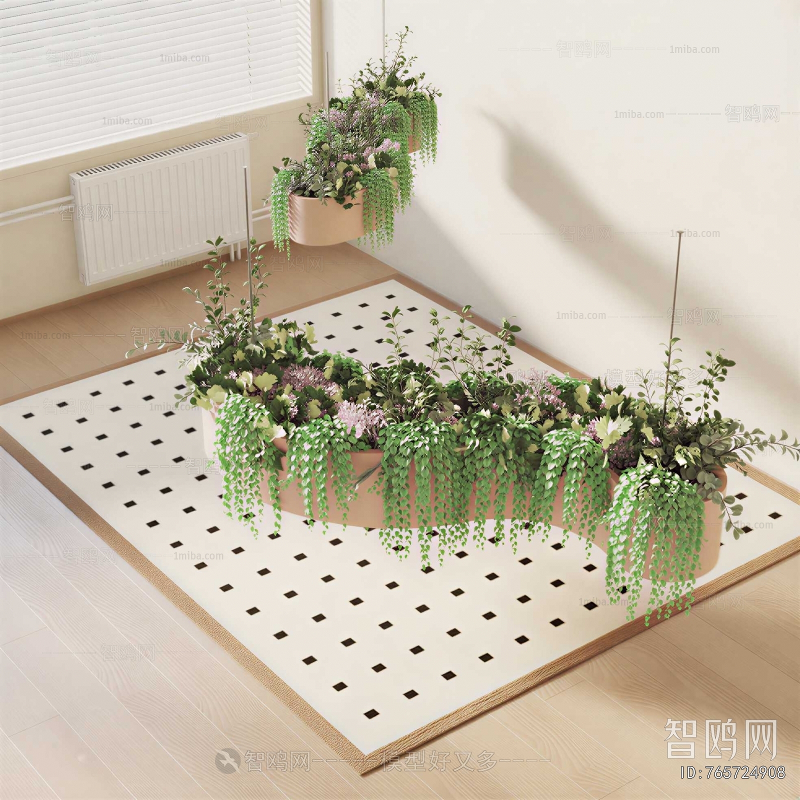 Modern Chlorophytum Comosum