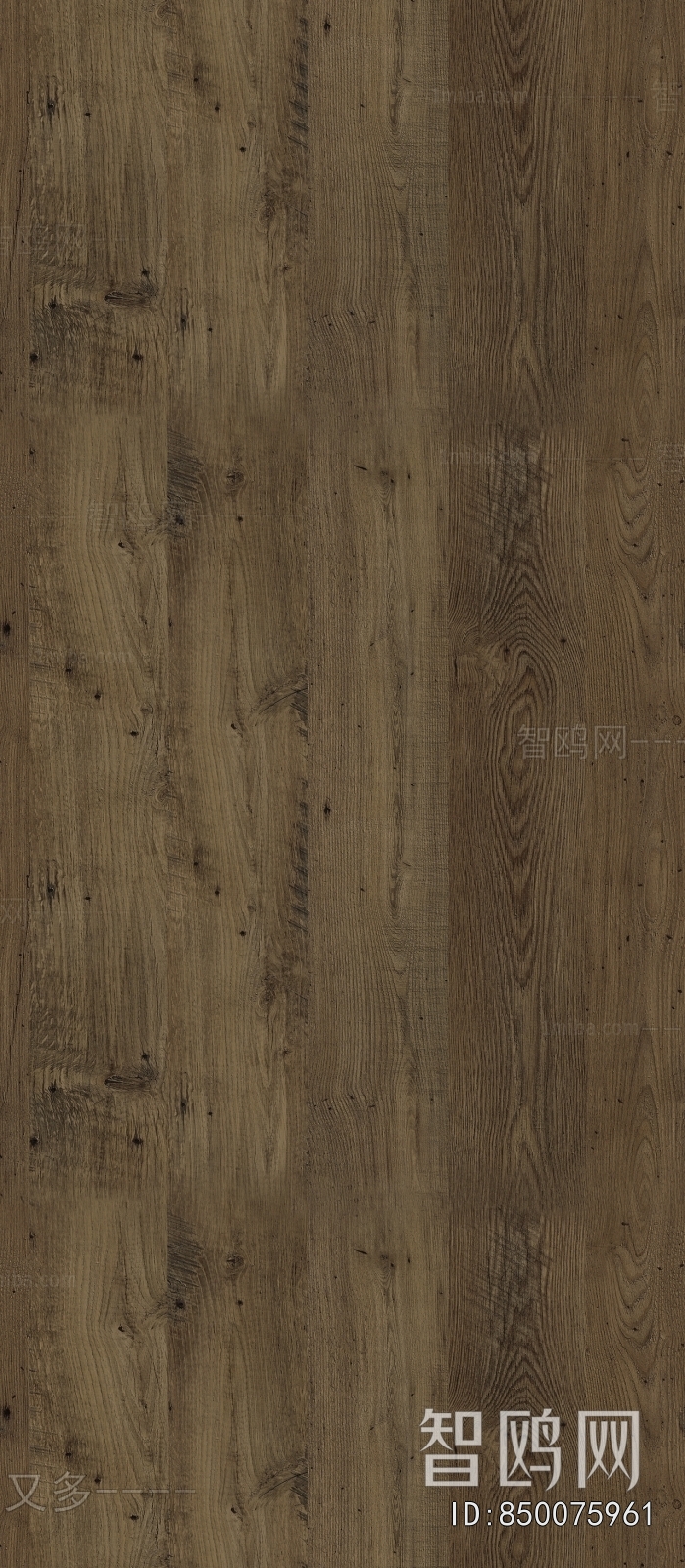 Wood Texture