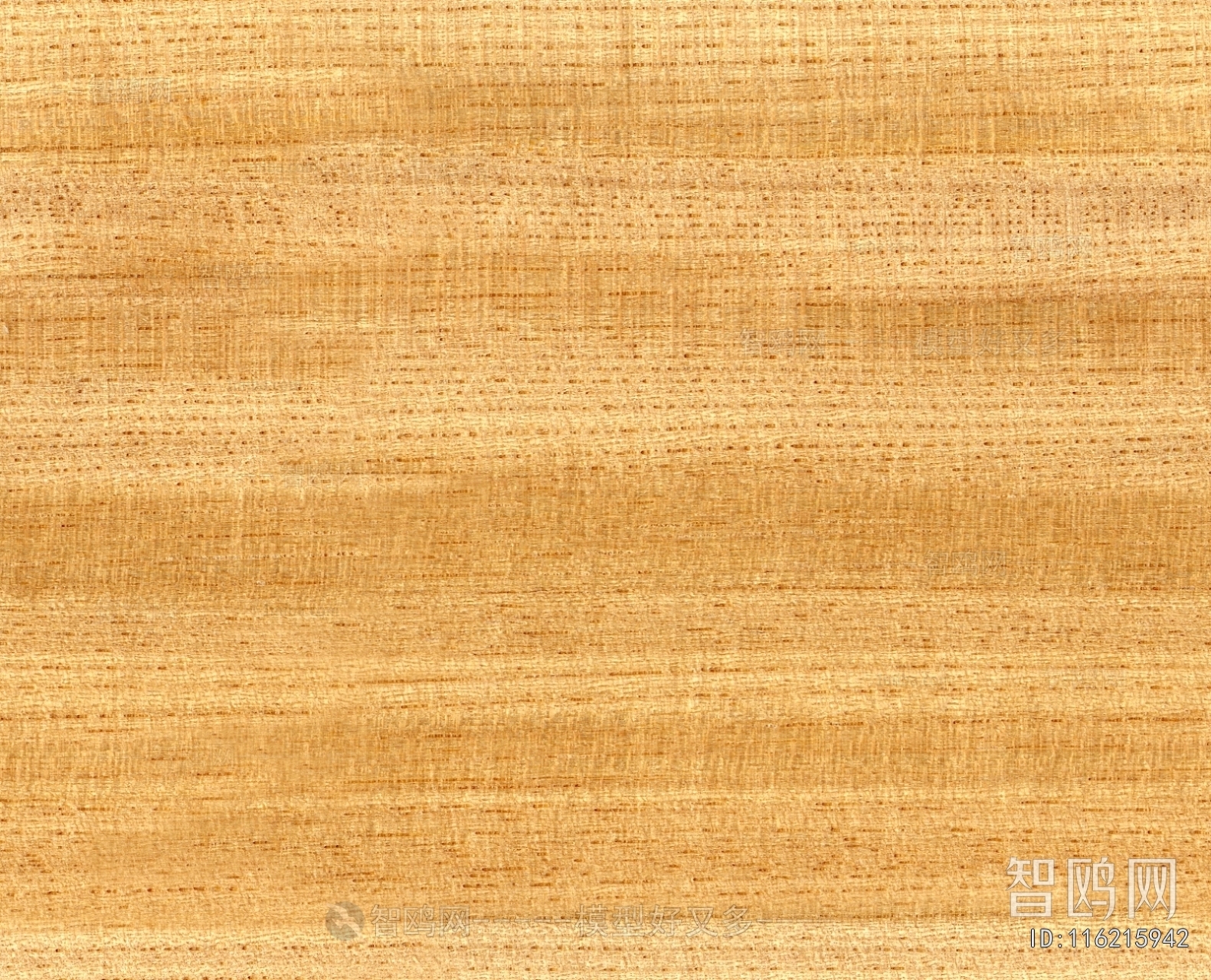 Wood Texture