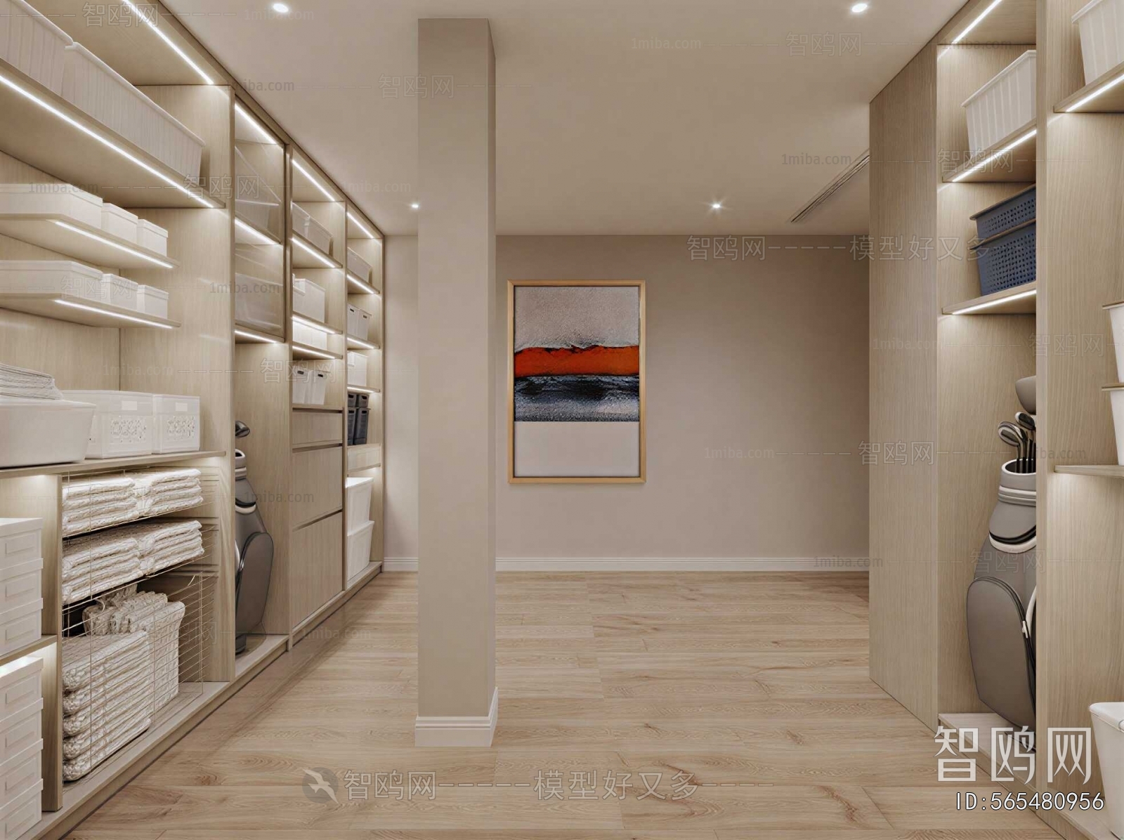 Modern Clothes Storage Area